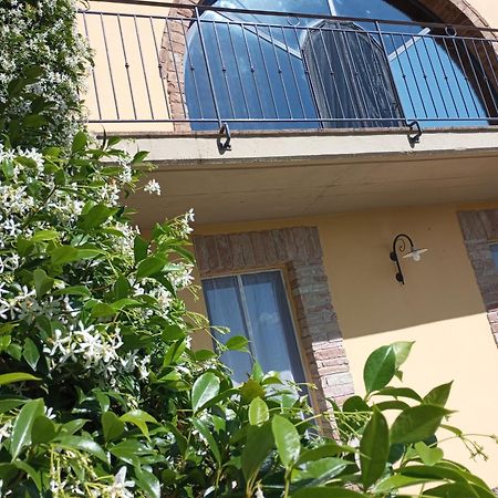 Sunset Hill - Tuscany - Villa & Private Pool كاستيلفيورينتينو المظهر الخارجي الصورة