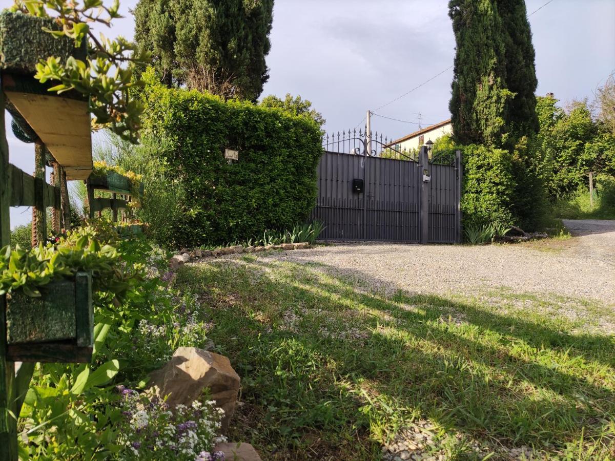 Sunset Hill - Tuscany - Villa & Private Pool كاستيلفيورينتينو المظهر الخارجي الصورة
