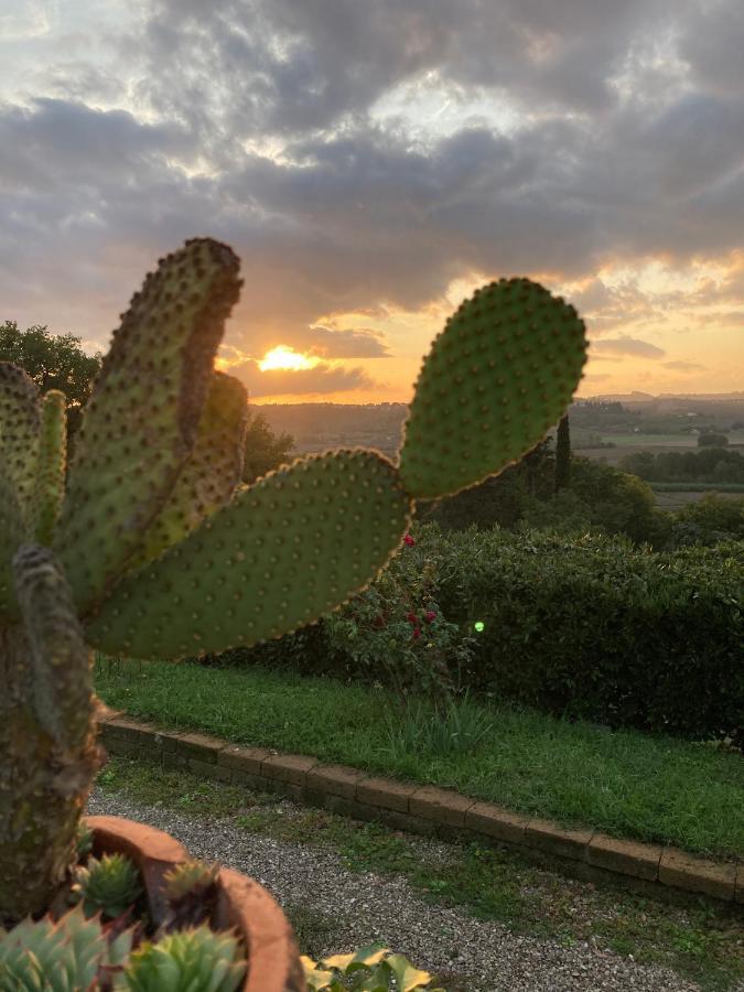 Sunset Hill - Tuscany - Villa & Private Pool كاستيلفيورينتينو المظهر الخارجي الصورة