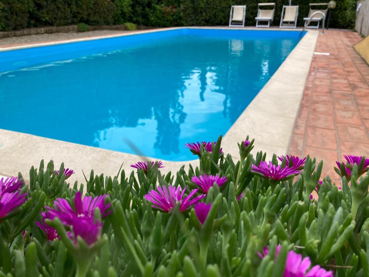 Sunset Hill - Tuscany - Villa & Private Pool كاستيلفيورينتينو المظهر الخارجي الصورة