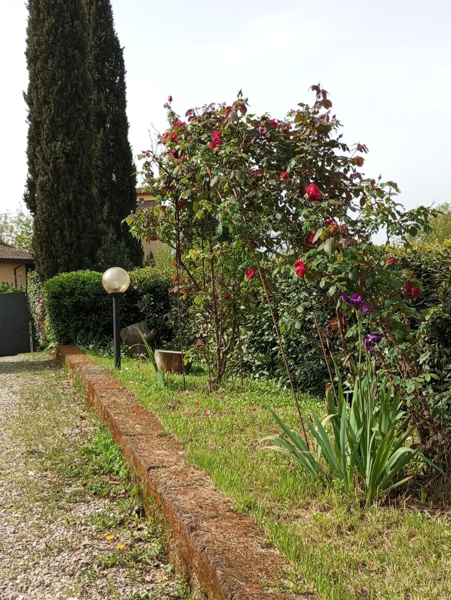 Sunset Hill - Tuscany - Villa & Private Pool كاستيلفيورينتينو المظهر الخارجي الصورة
